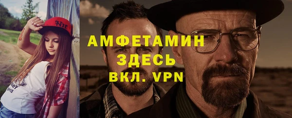 индика Аркадак