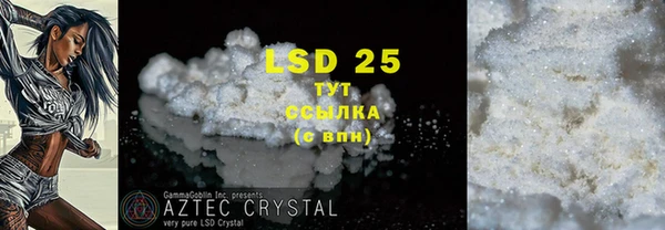 индика Аркадак