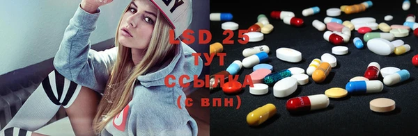 индика Аркадак