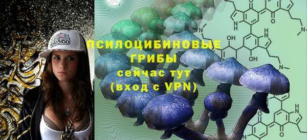 индика Аркадак