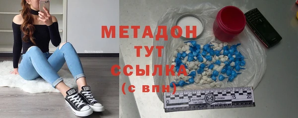 индика Аркадак