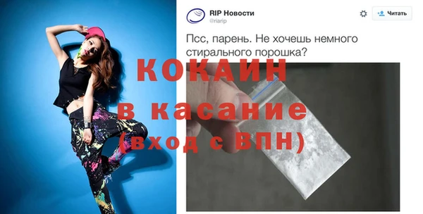 индика Аркадак
