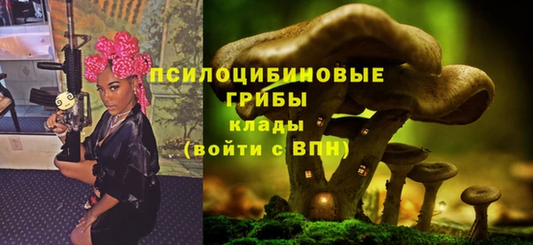 apvp Арсеньев
