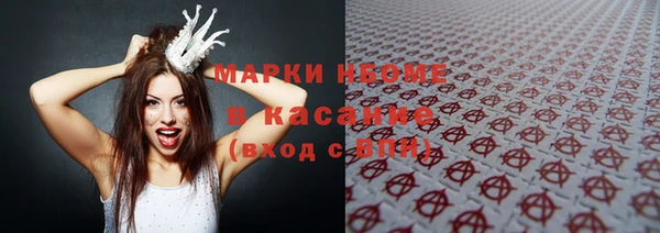 индика Аркадак