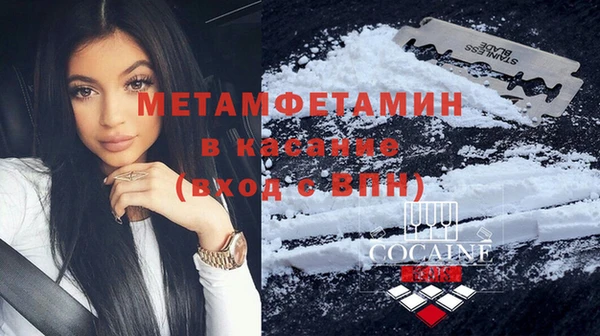 индика Аркадак