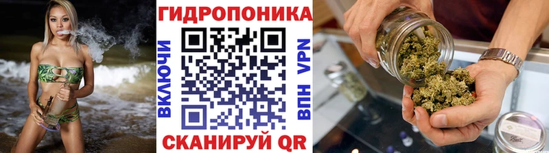 Бошки Шишки гибрид  где купить наркоту  Певек 
